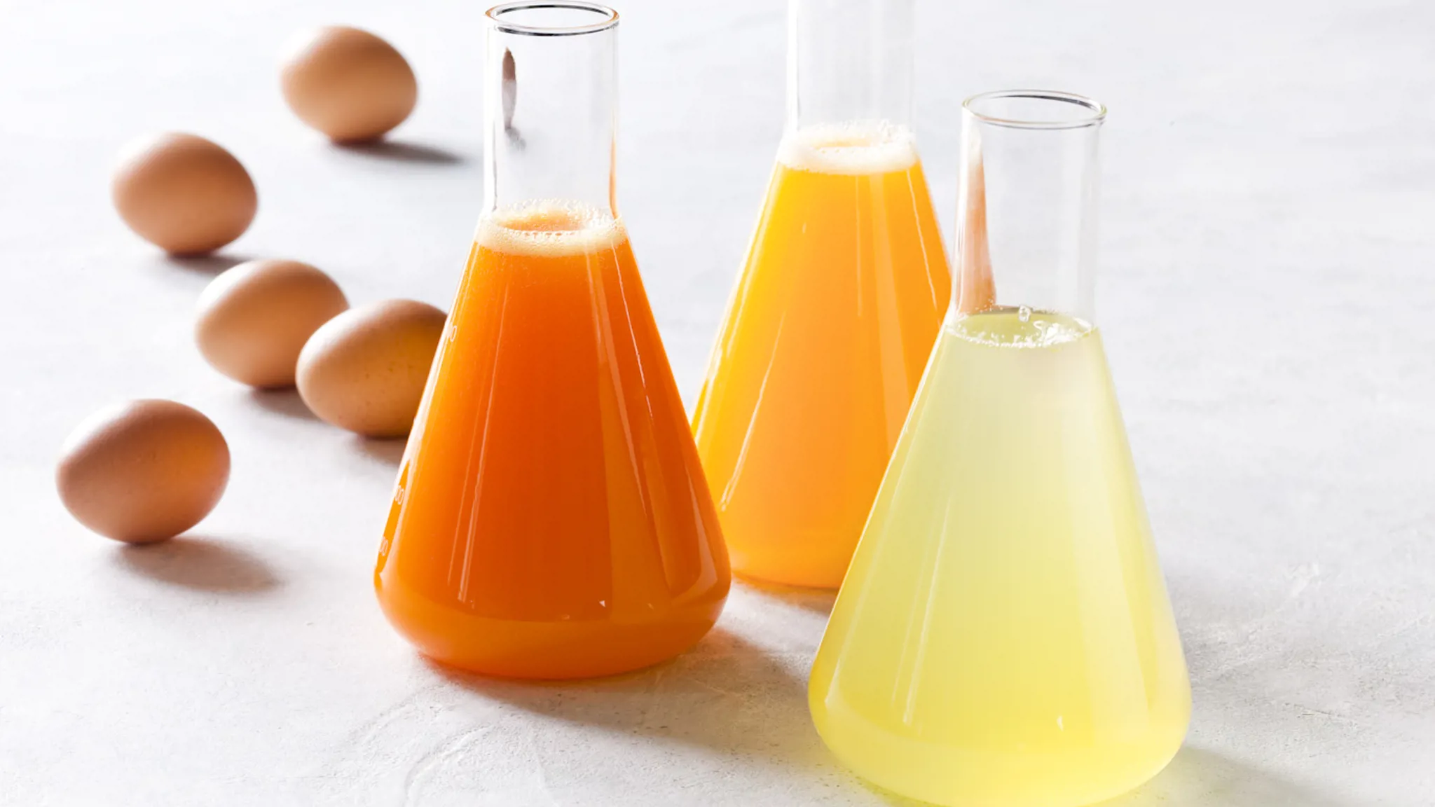 Gass flasks filled with liquid egg products including yolk, whole egg, and egg white.