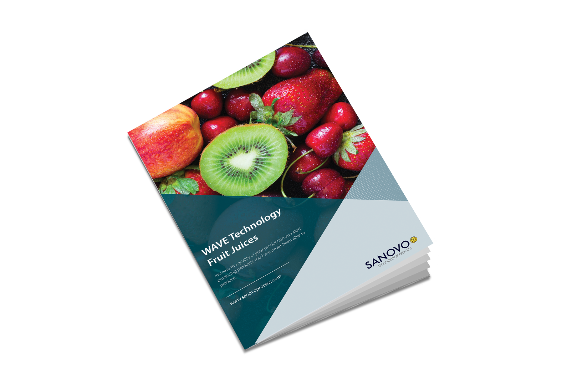 Application sheet on WAVE Technology heat treatment of fruit drinks and fruit nectar processing by SANOVO TECHNOLOGY PROCESS.