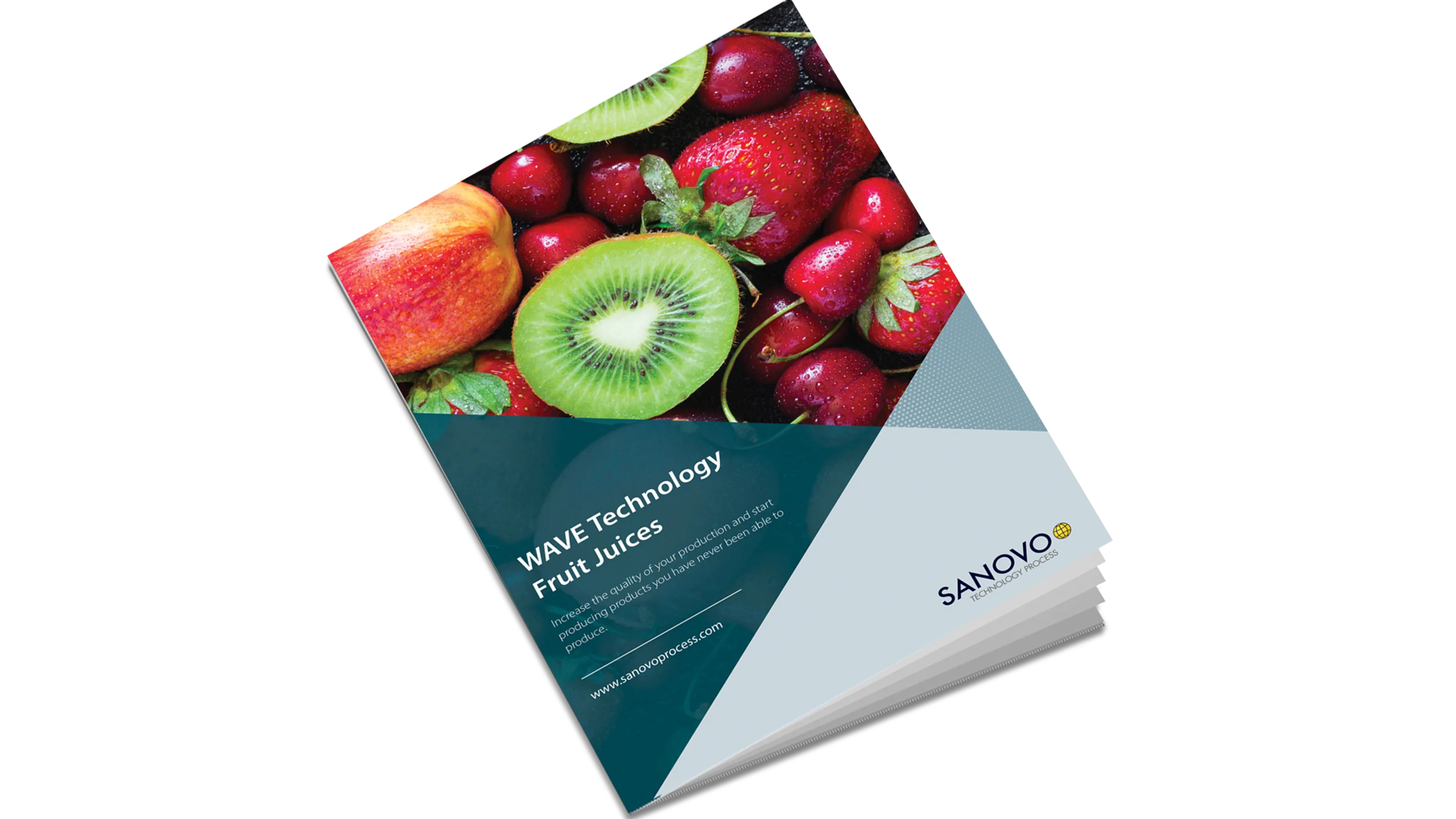 Application sheet on WAVE Technology heat treatment of fruit drinks and fruit nectar processing by SANOVO TECHNOLOGY PROCESS.
