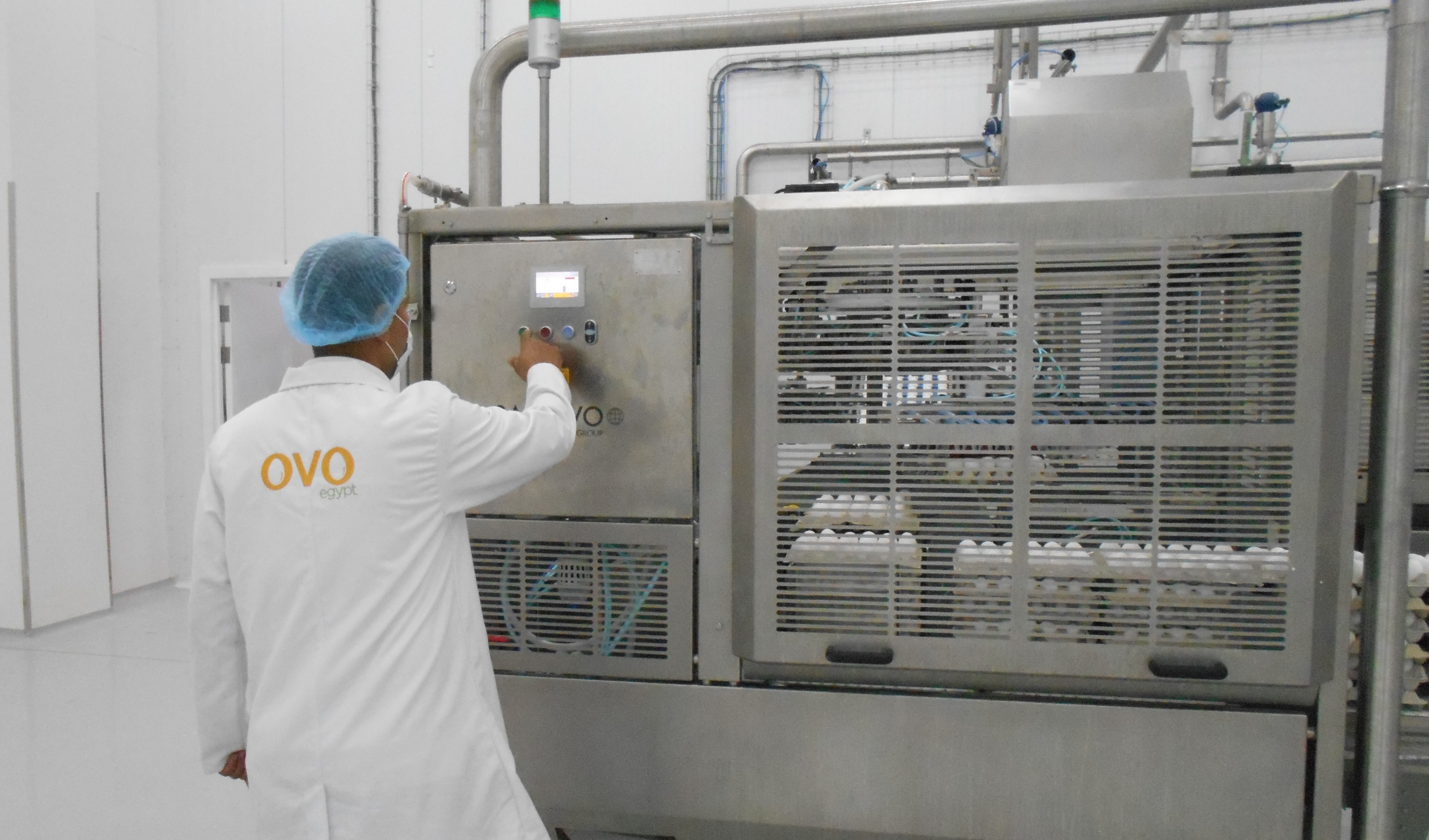 Operator monitoring SANOVO automated egg breaking equipment at OVO Egypt liquid egg processing facility.