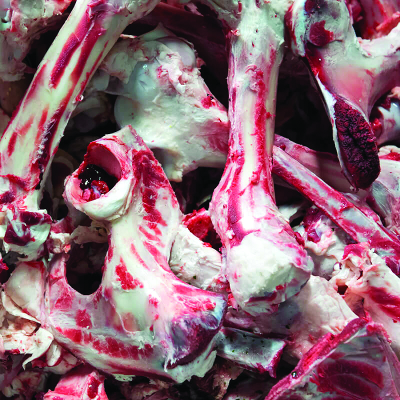 Bones and tissue used for gelatin, collagen, and broth ingredient processing via spray drying.