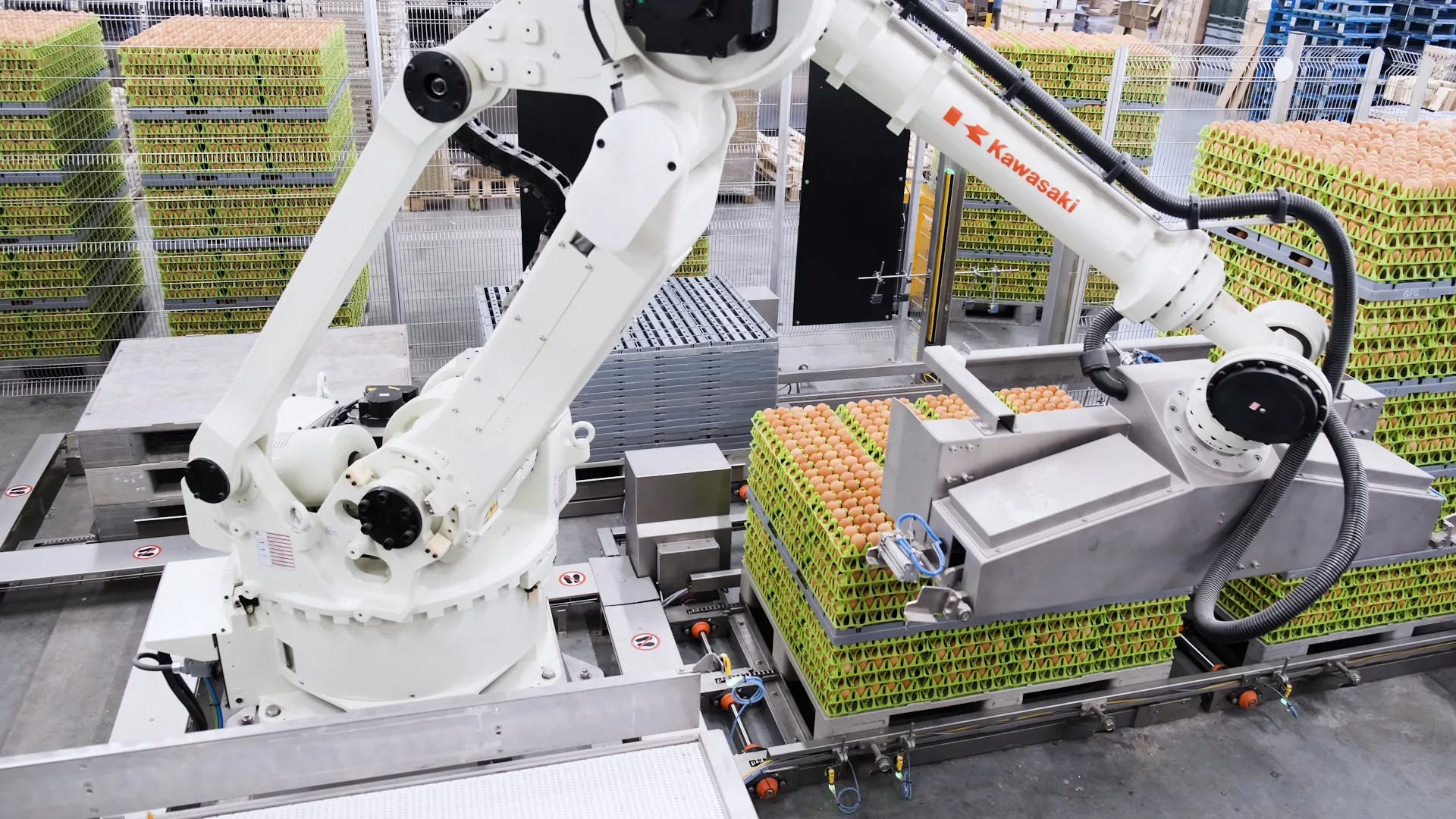 Robotic egg depalletizer unloading trays at Jokiel Poultry Farms automated grading facility.