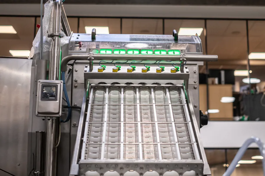 Close up of the infeed on the SANOVO BreakerPro 6 egg breaker machine.