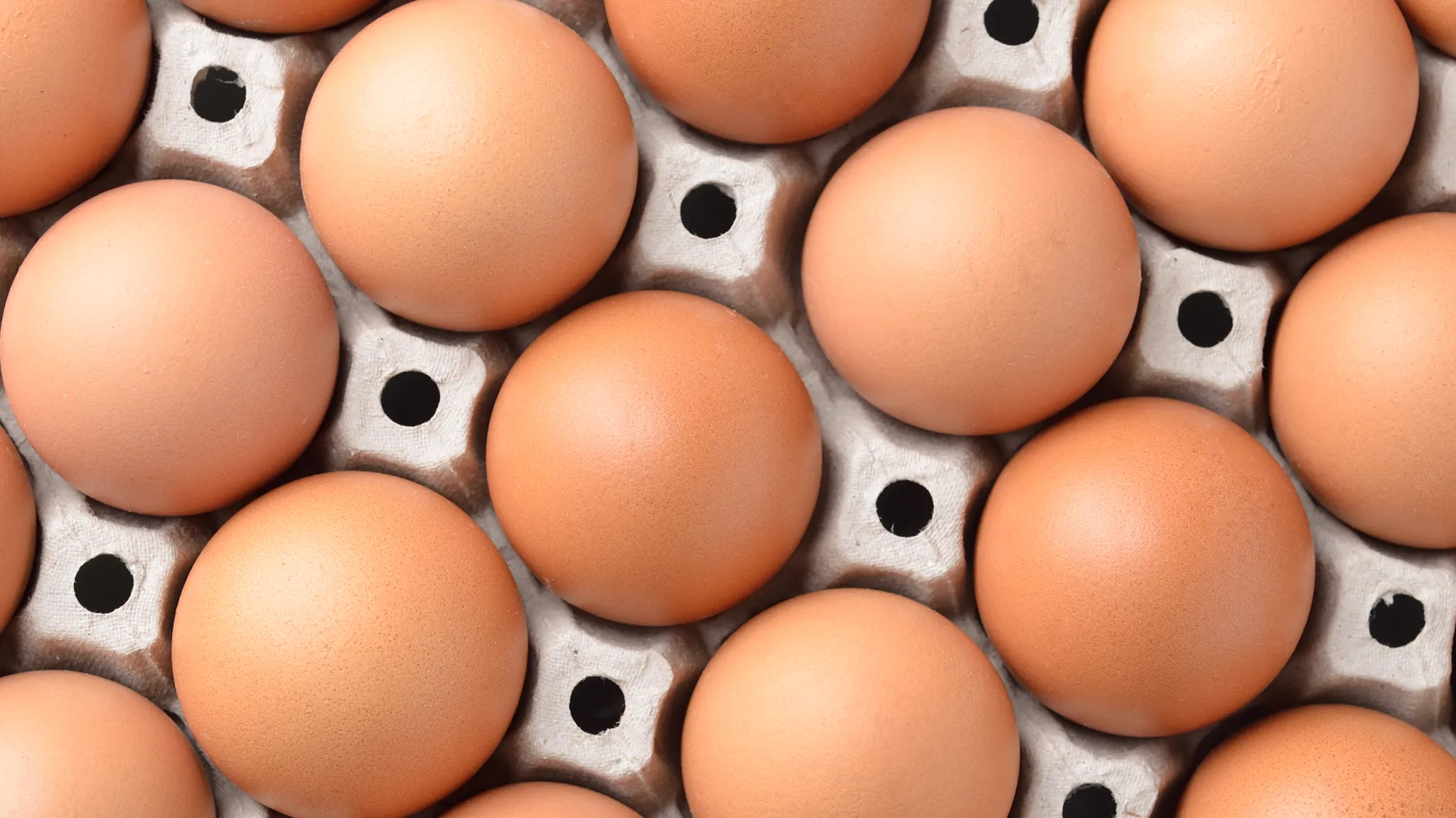 Eggs in carton from above