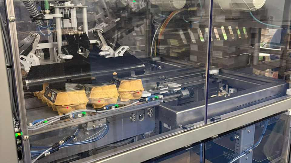 Automated egg case packing system placing graded eggs into cartons on SANOVO packing line at Greenfield facility.