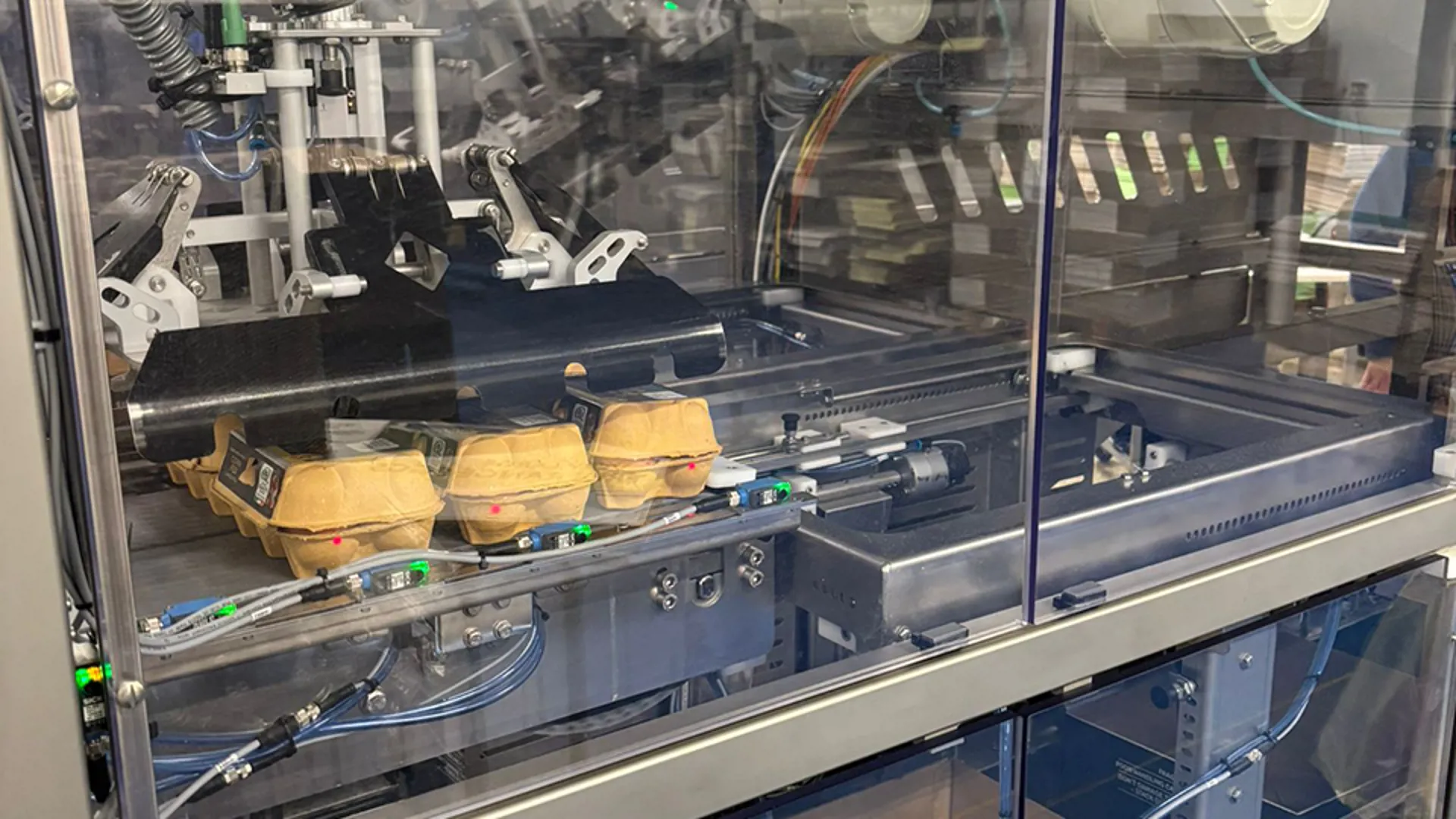 Automated egg case packing system placing graded eggs into cartons on SANOVO packing line at Greenfield facility.