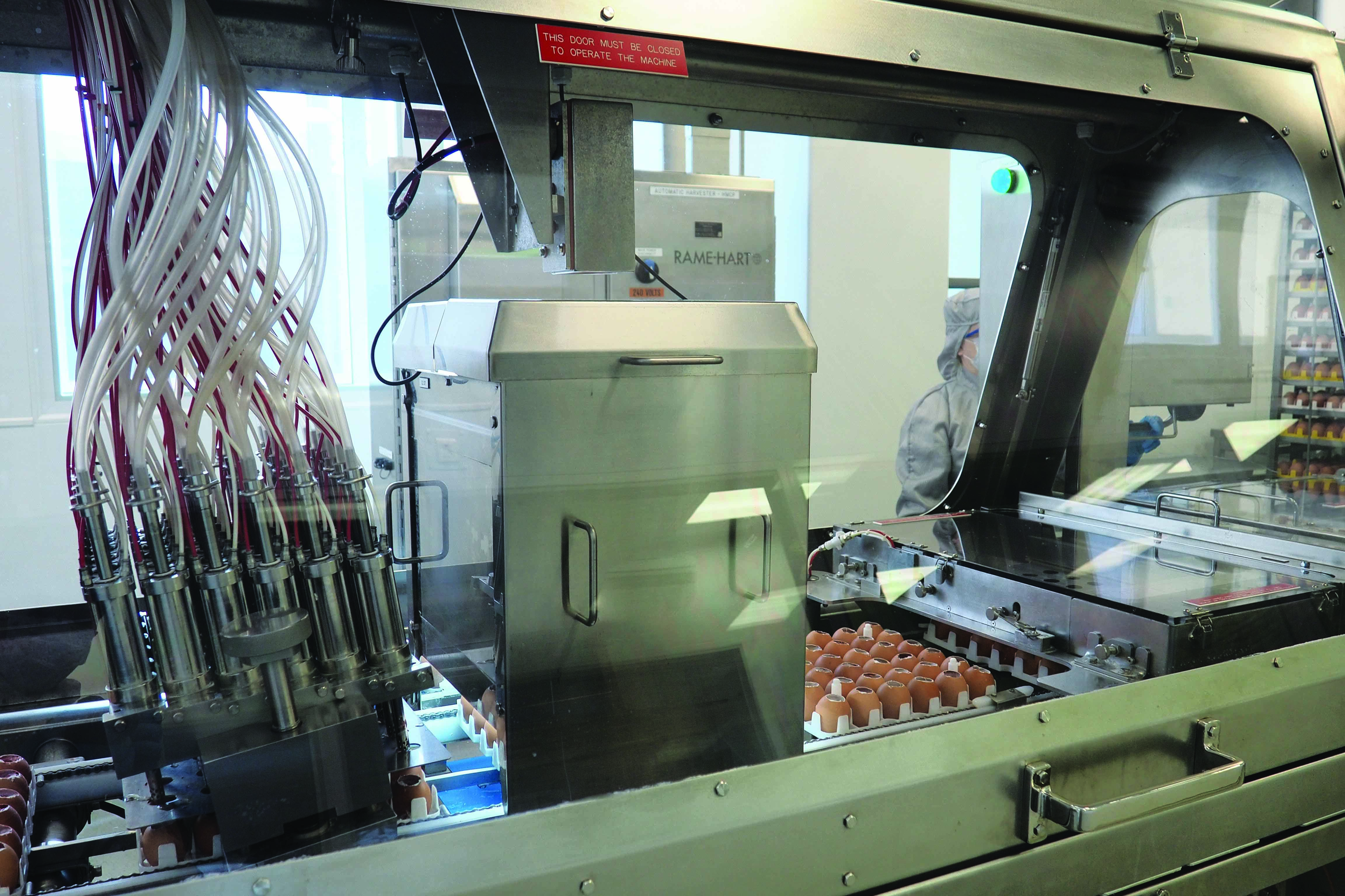RAME-HART Precision Vision System inspecting eggs,