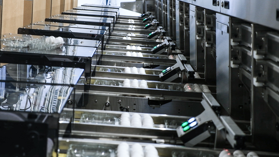 Egg packing lanes of the SANOVO GraderPro egg grader machine placing eggs into consumer packs automatically.