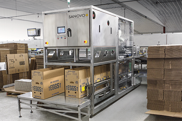 SANOVO Case Packer 160 operating in an egg processing facility, packing egg cases on an automated line.