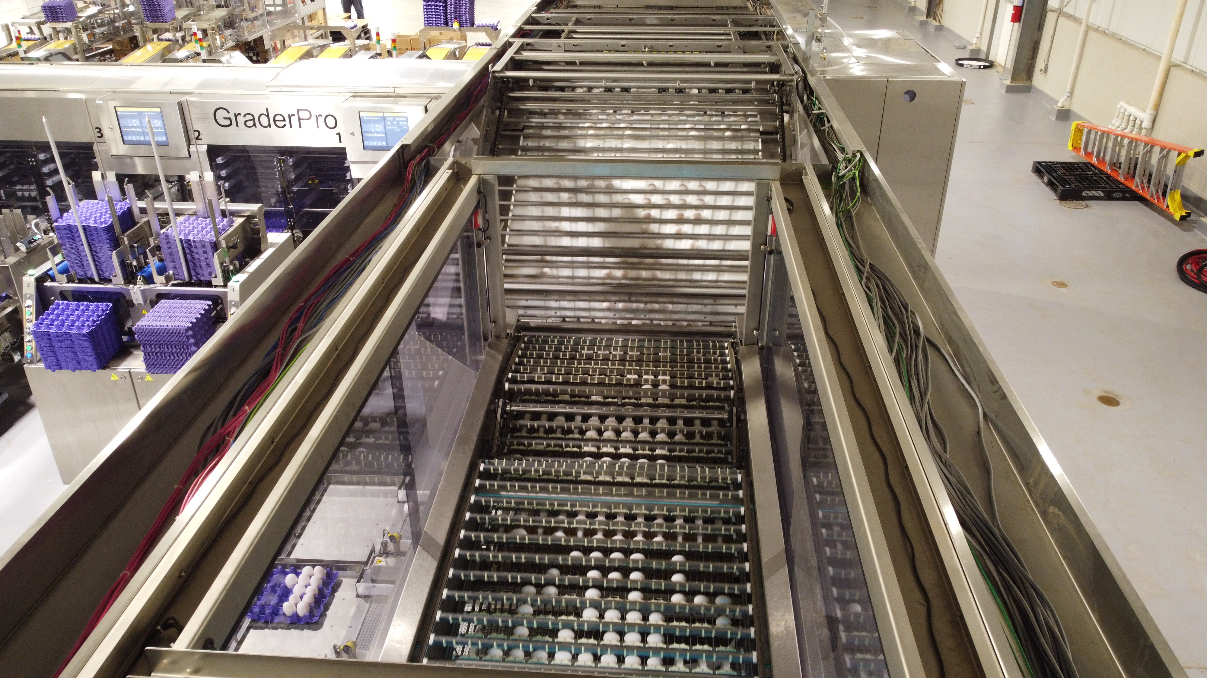 Top view of the SANOVO GraderPro showing eggs moving through the egg grading section.