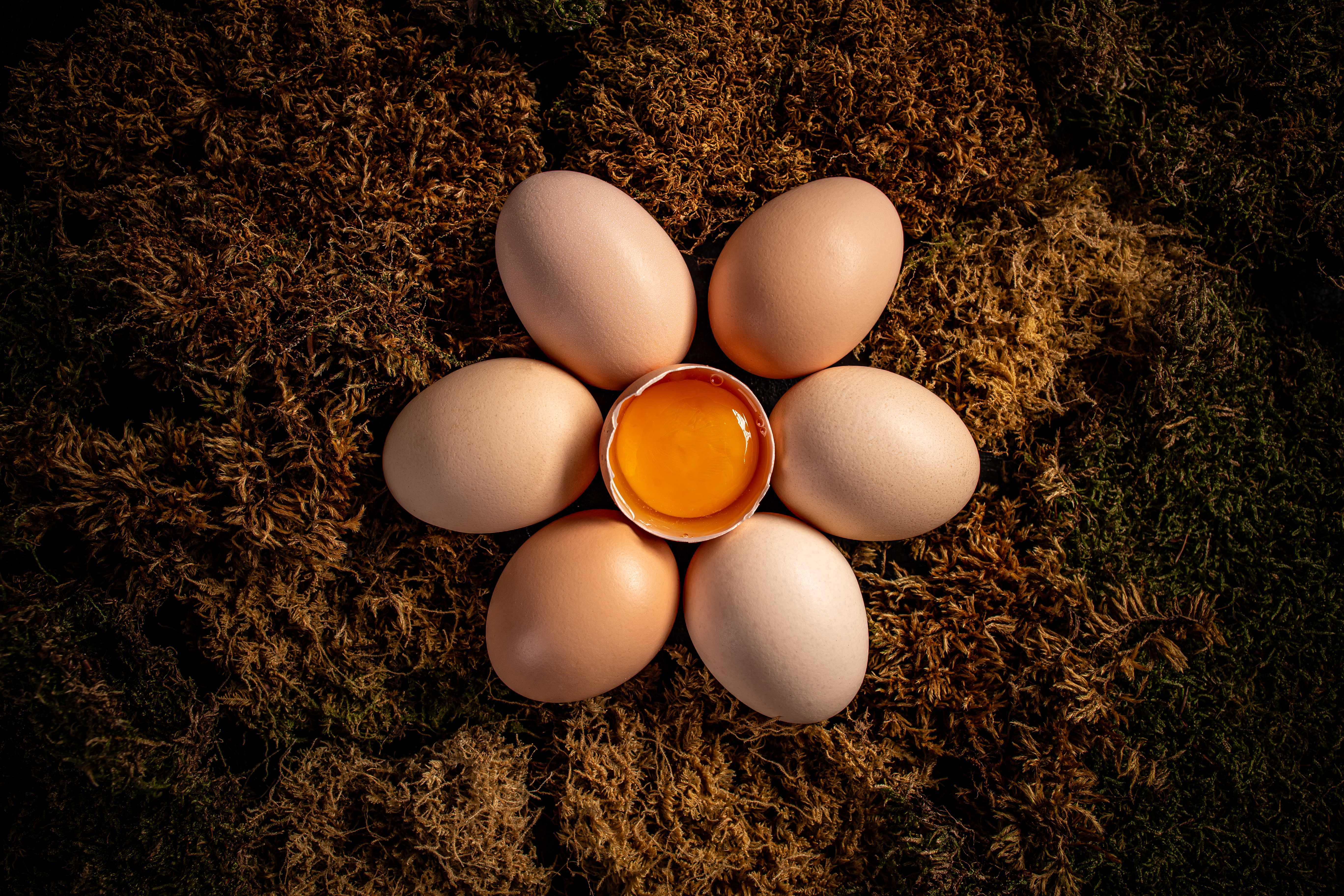 Fresh farm eggs.