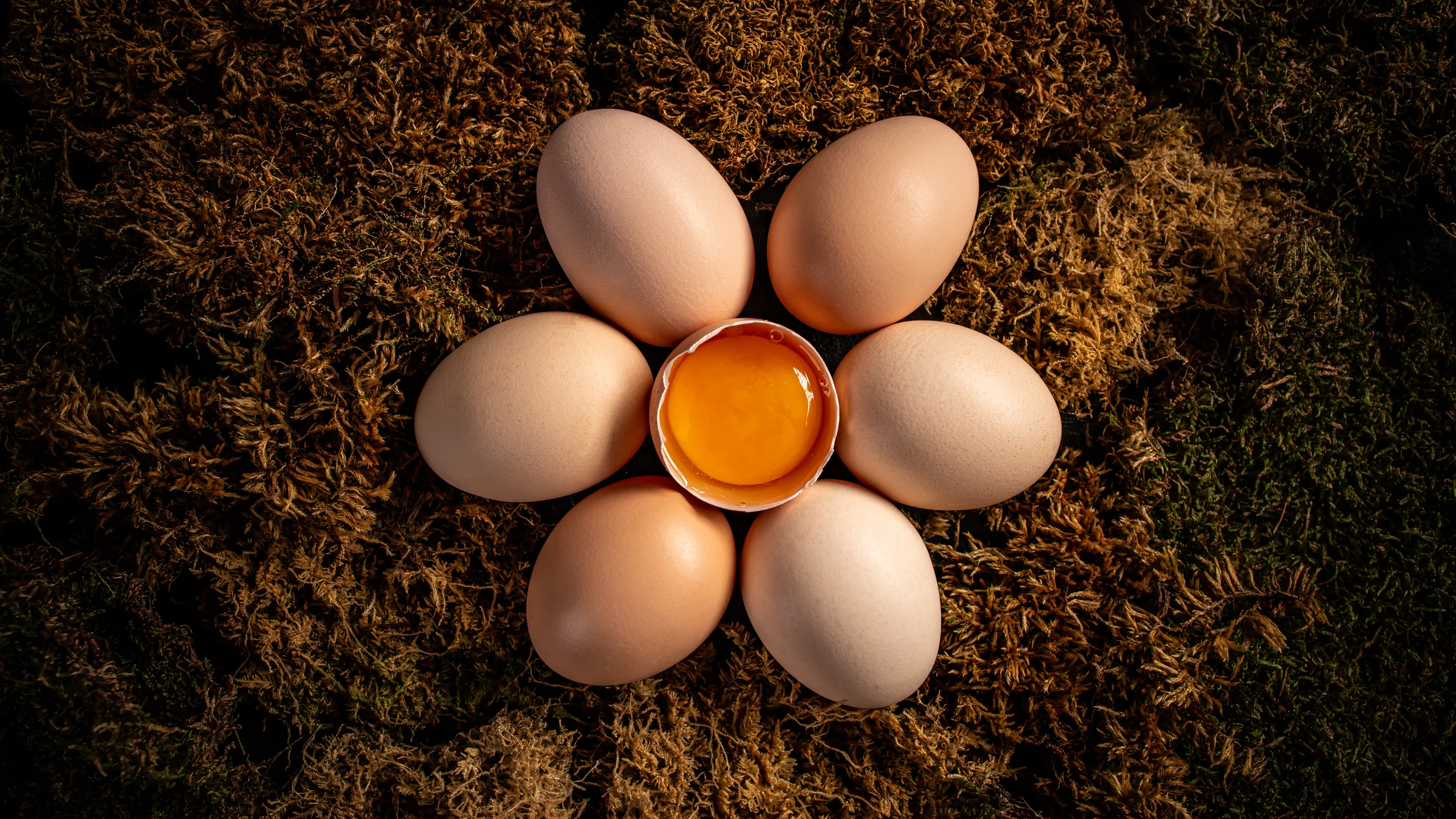 Fresh farm eggs.