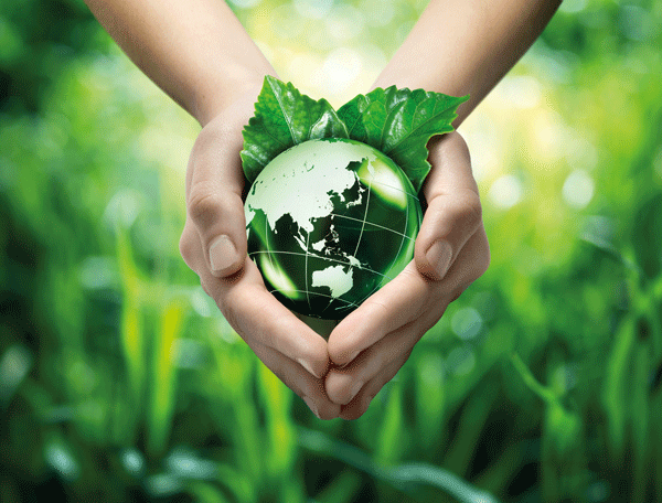 Symbolic image of CSR and sustainability with hands holding a green globe.