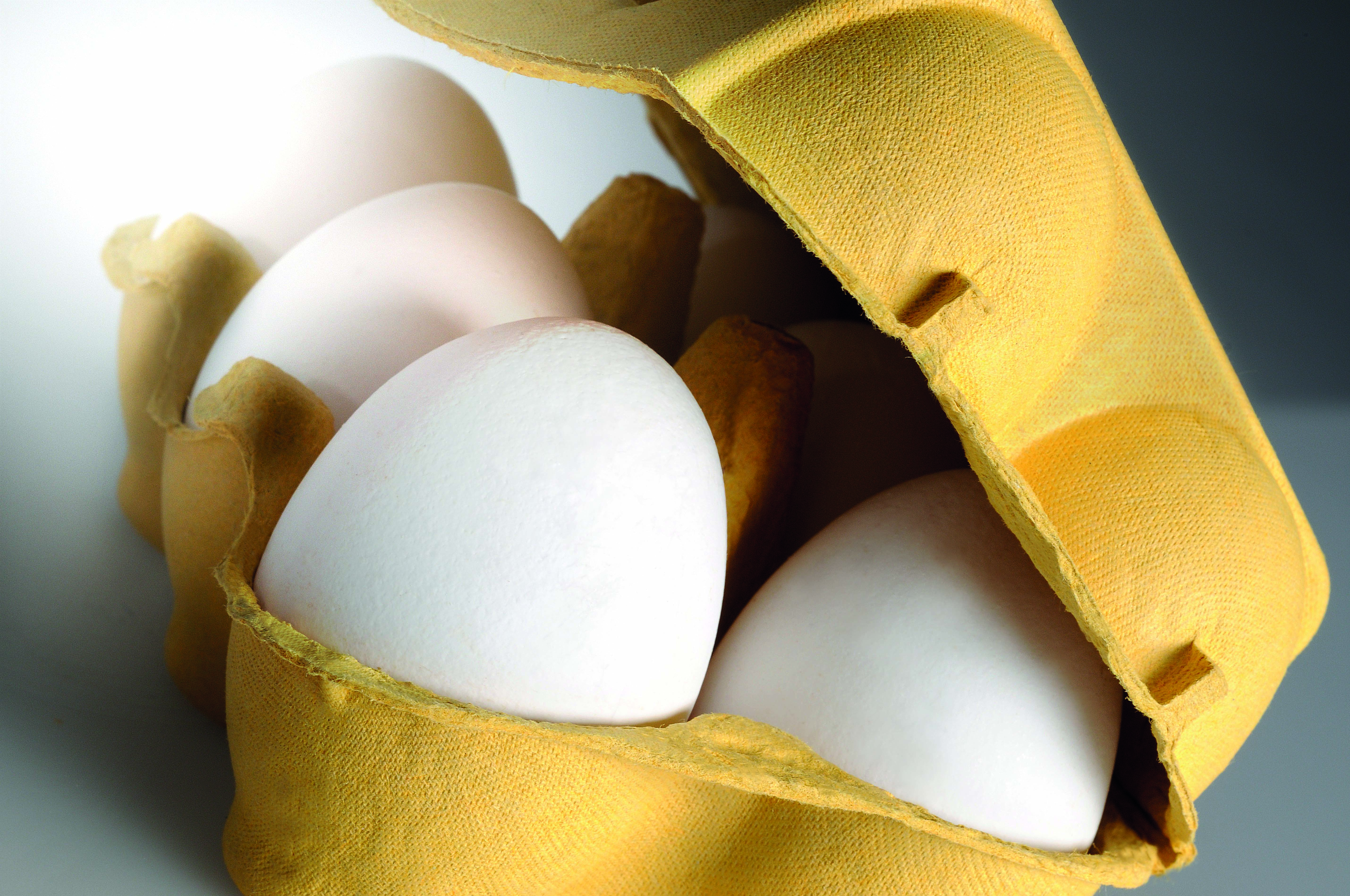 Egg carton with eggs