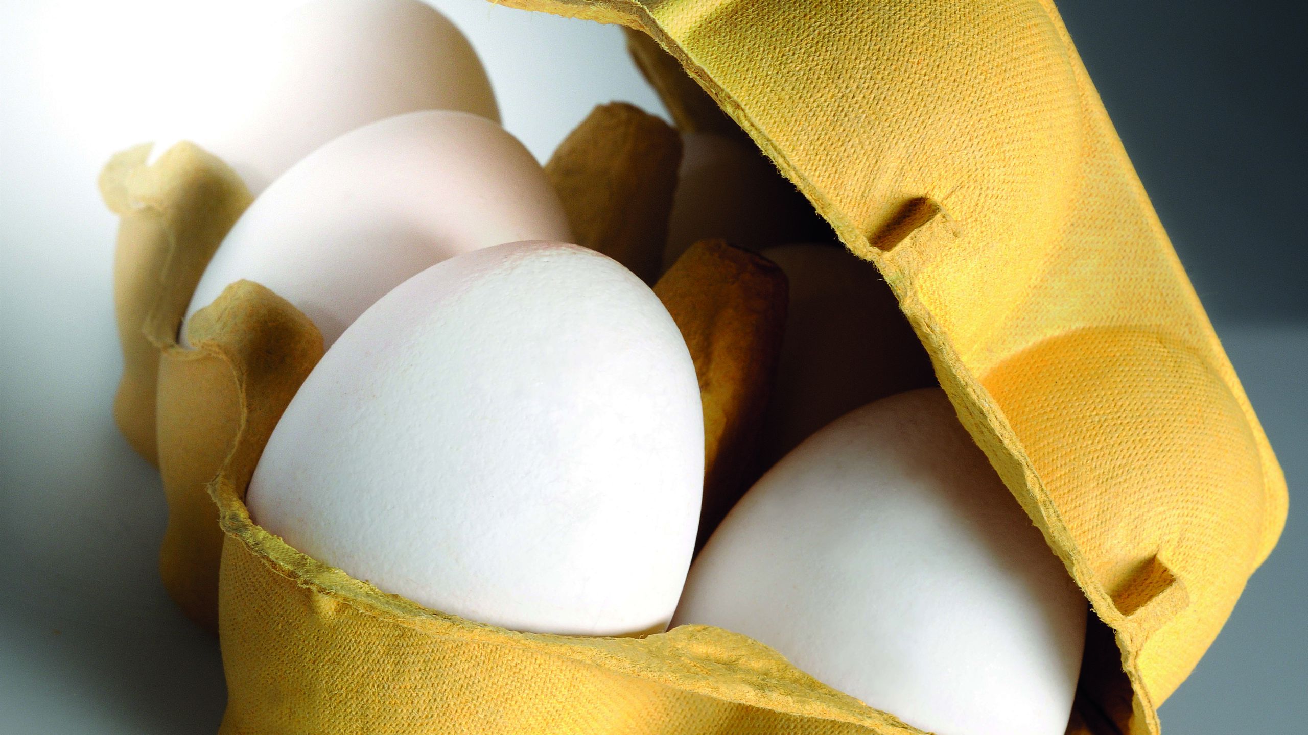 Egg carton with eggs