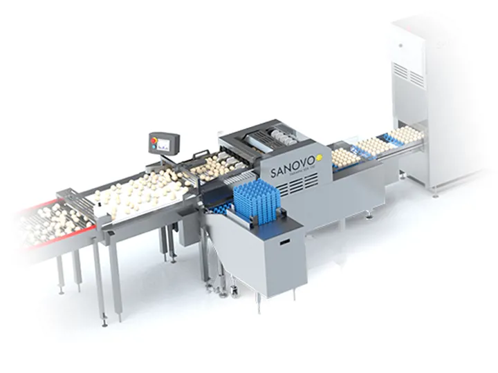 SANOVO FarmPacker 100 egg packer machine transferring eggs from conveyor to trays.