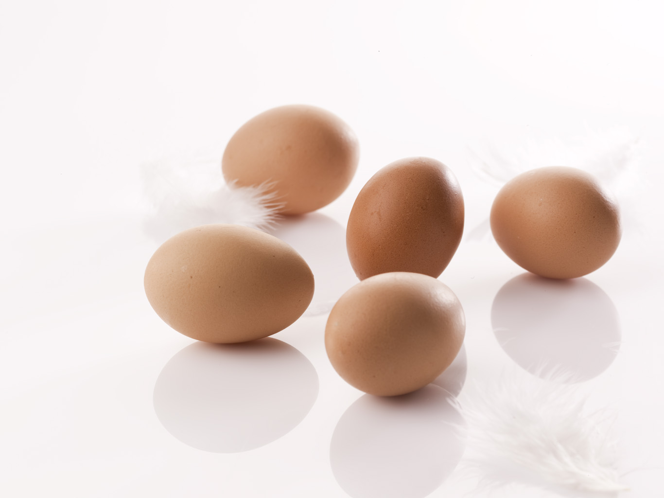 Brown eggs with feathers