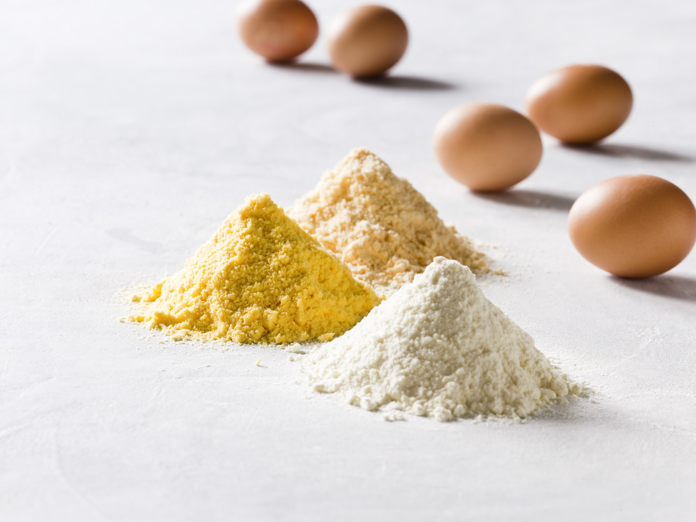 Different types of egg powder displayed with whole eggs, representing spray-dried egg products.