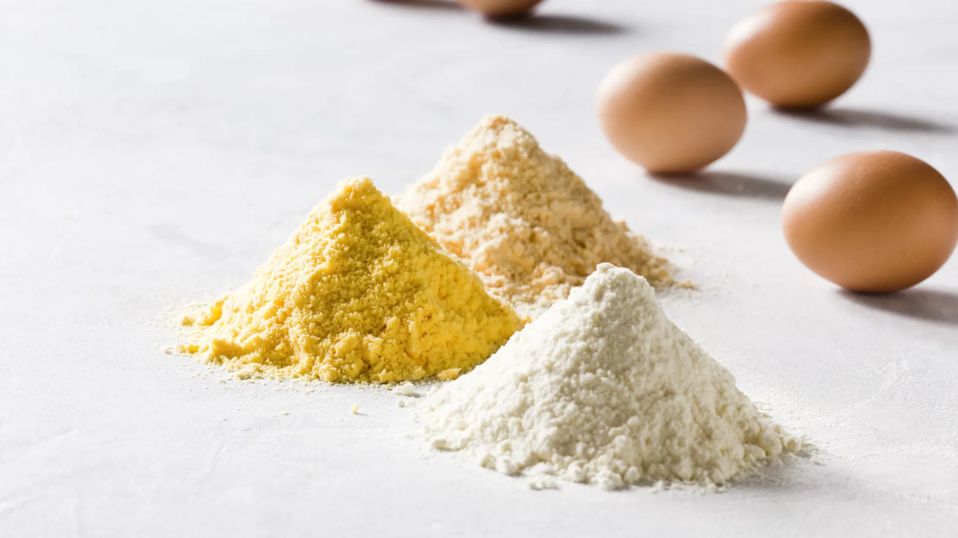 Different types of egg powder displayed with whole eggs, representing spray-dried egg products.