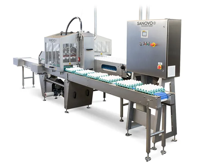 SANOVO FlexLoader gently transferring eggs from trays to the conveyor in grading and processing lines.