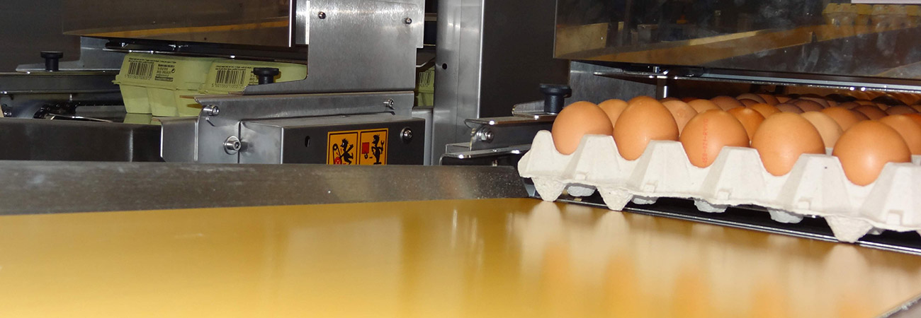 SANOVO Ardenta egg grading and packing machine. 