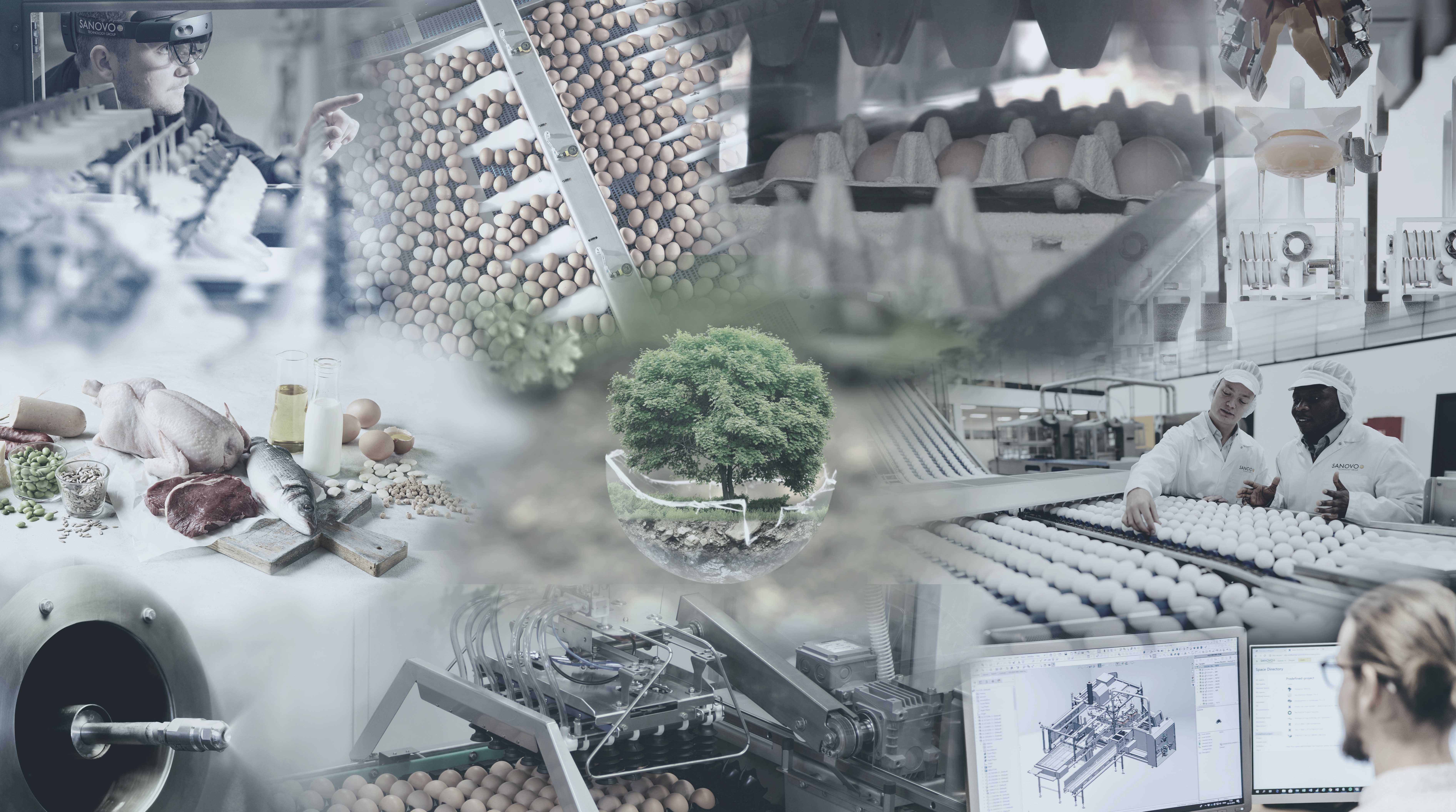 Collage of SANOVO egg processing, grading, packaging, product development, and sustainability initiatives