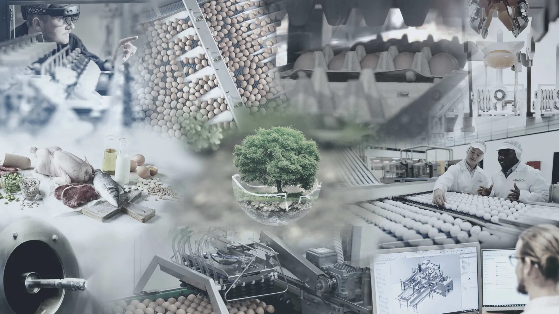 Collage of SANOVO egg processing, grading, packaging, product development, and sustainability initiatives