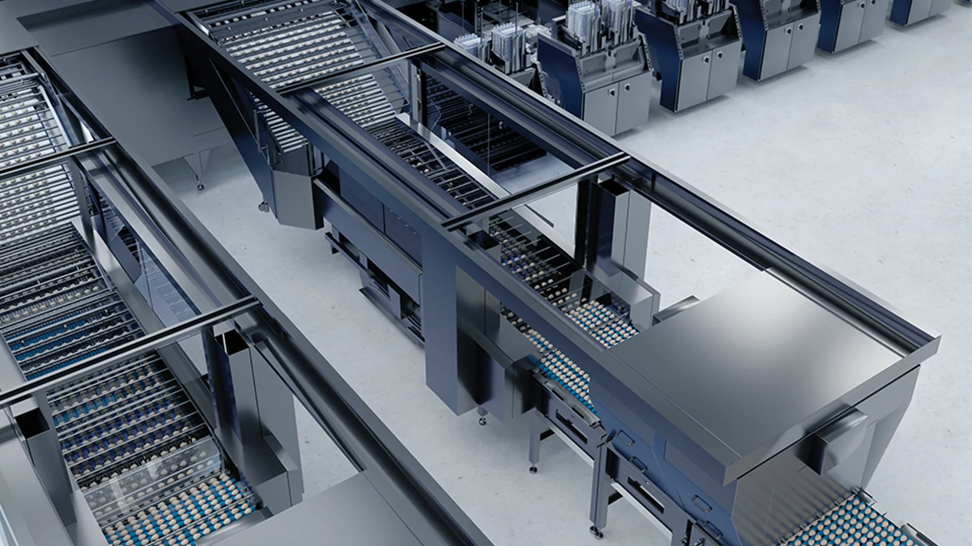 SANOVO GraderPro 800 infeed section guiding eggs into the egg grader machine for high-capacity egg sorting.