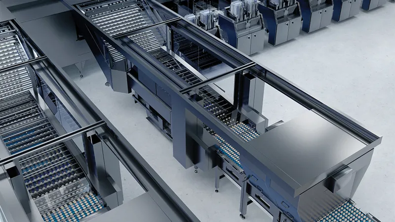 SANOVO GraderPro 800 infeed section guiding eggs into the egg grader machine for high-capacity sorting.