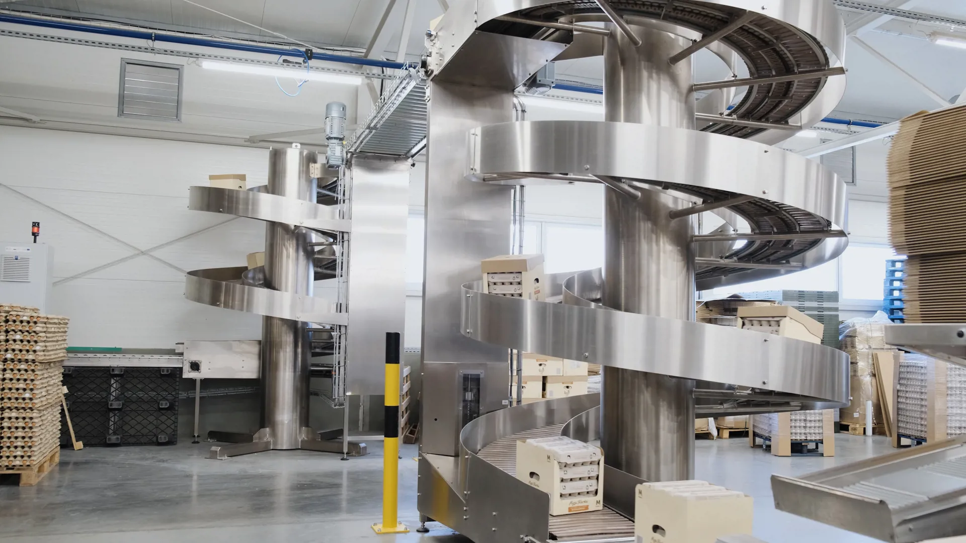 Spiral elevator conveyor transporting egg cases in automated an egg grading and packing facility.