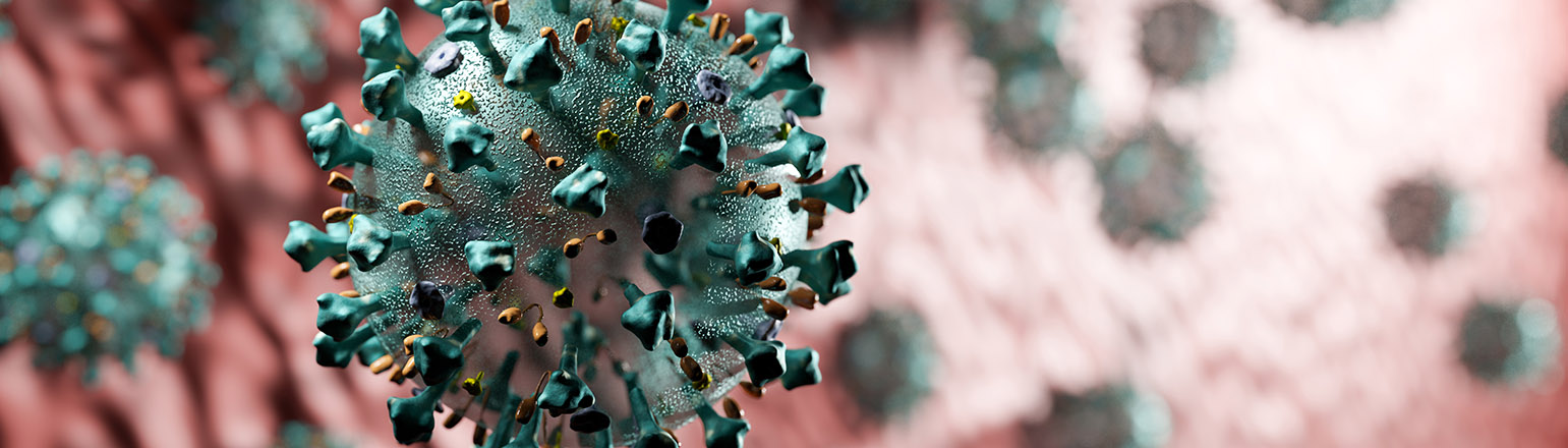 Microscopic illustration of a virus particle showing surface structures.