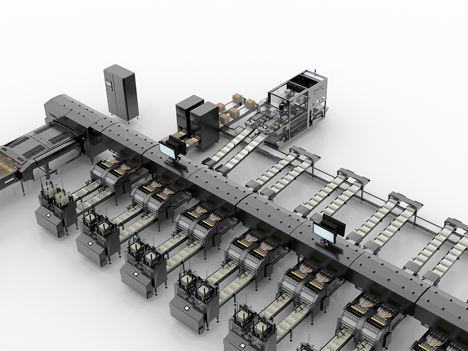 OptiGrader 600 egg grading machine with OptiLanes packing system and integrated case packer by SANOVO TECHNOLOGY GROUP.