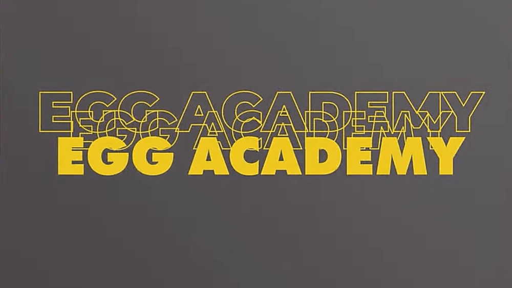 Egg Academy graphical illustration