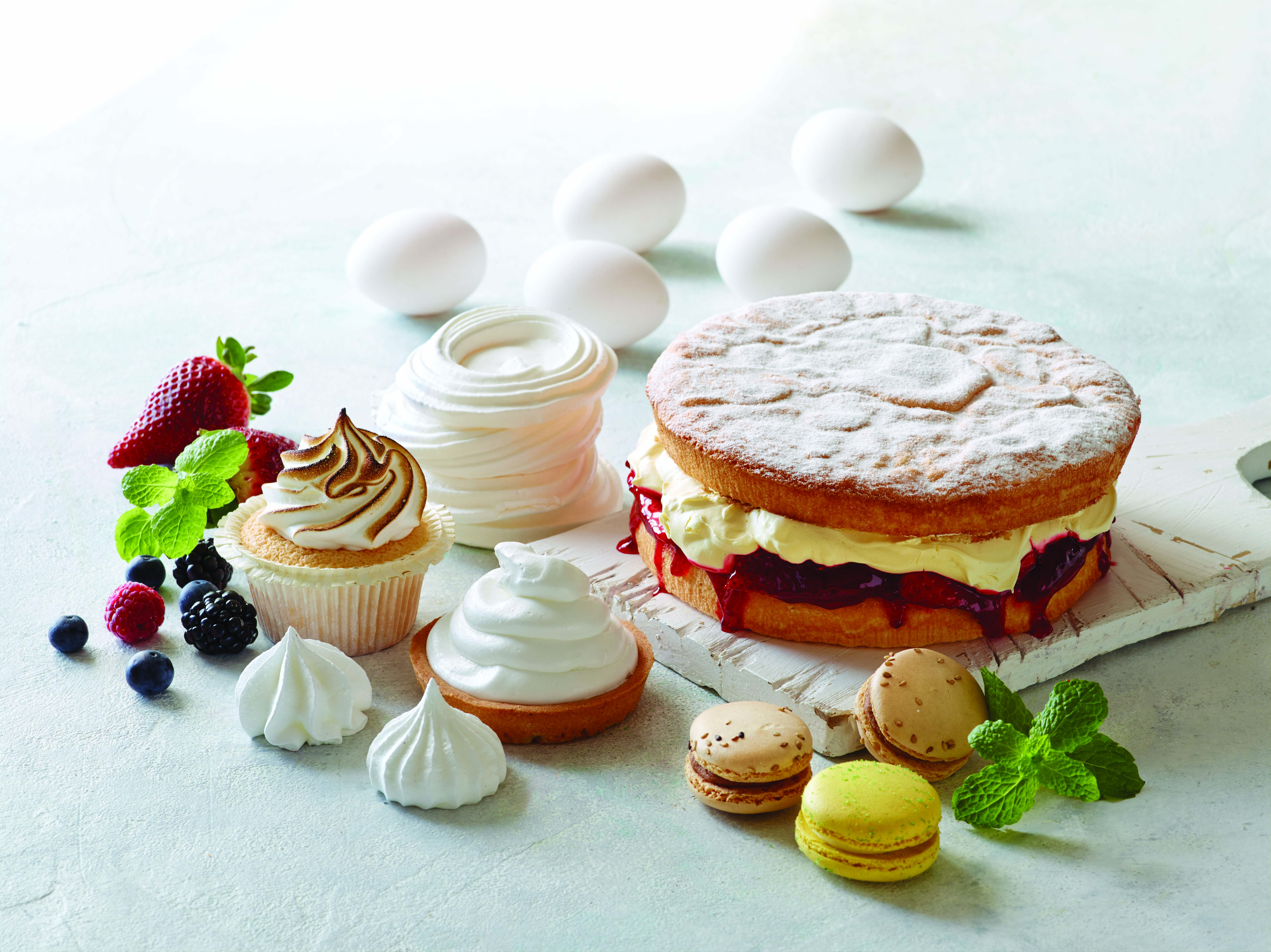 Cakes, pastries, and desserts made with egg white powder illustrating enzyme applications and yield, offered by SANOVO PROCESS SOLUTIONS