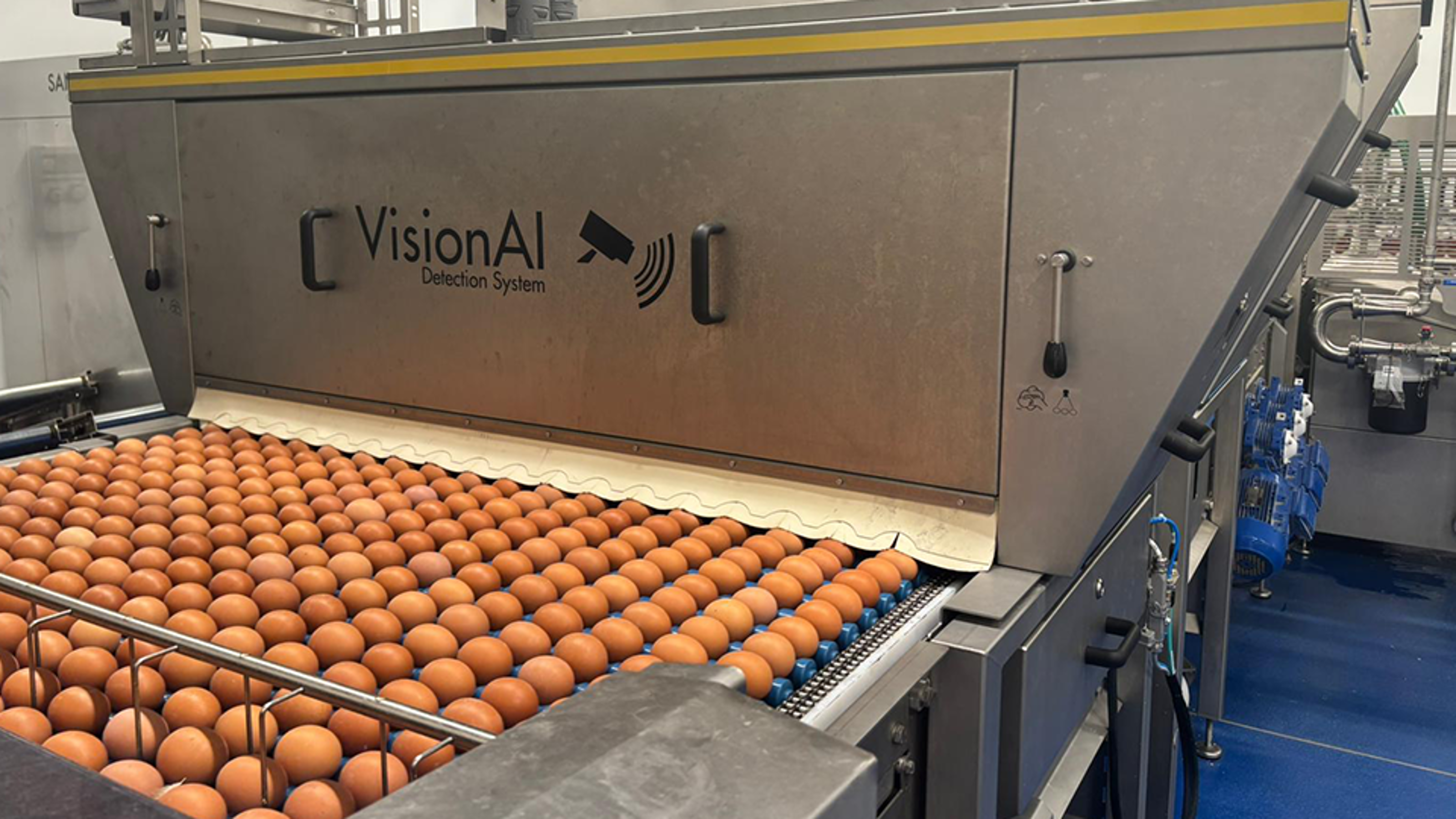 Eggs passing through VisionAI detection system for automated inspection at Greenfield egg grading facility.