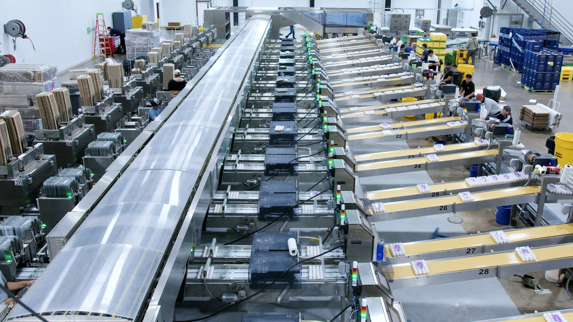 SANOVO GraderPro egg grading machine inside Mid-States Specialty Eggs facility.