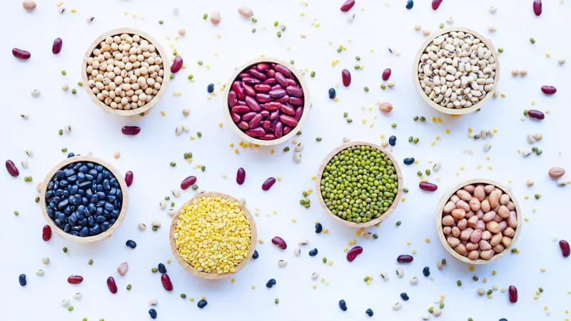 Variation of plant-based food. Pea, soy, rice and beans