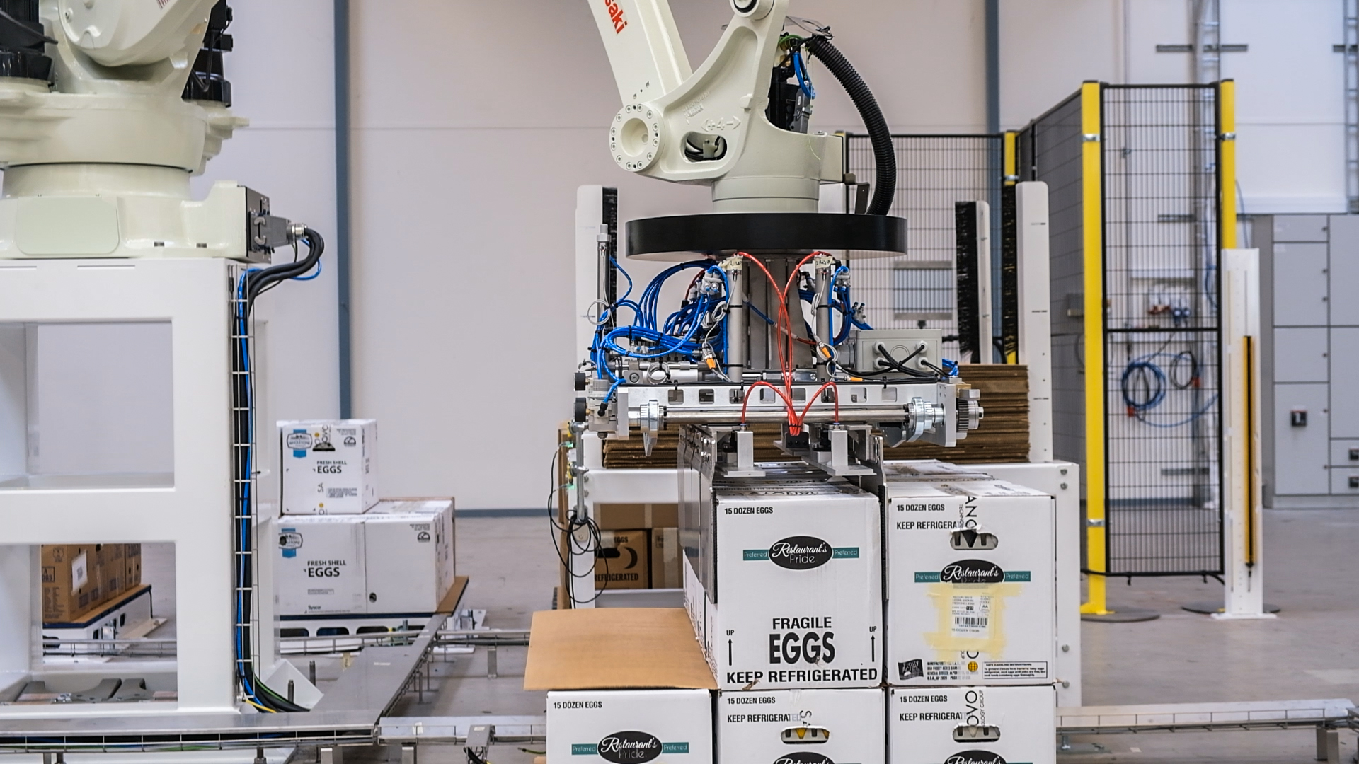 SANOVO robotic case palletizer placing egg cartons onto a pallet in an egg packing facility.