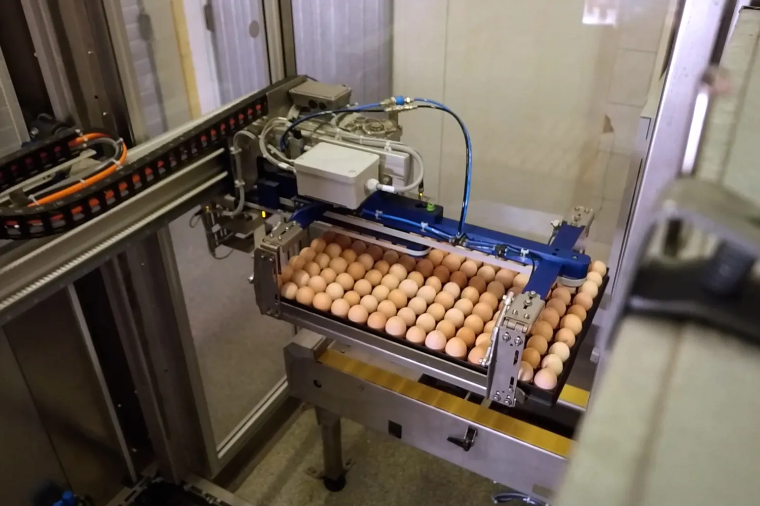 Setter Tray Gripper for Hatchery Automation