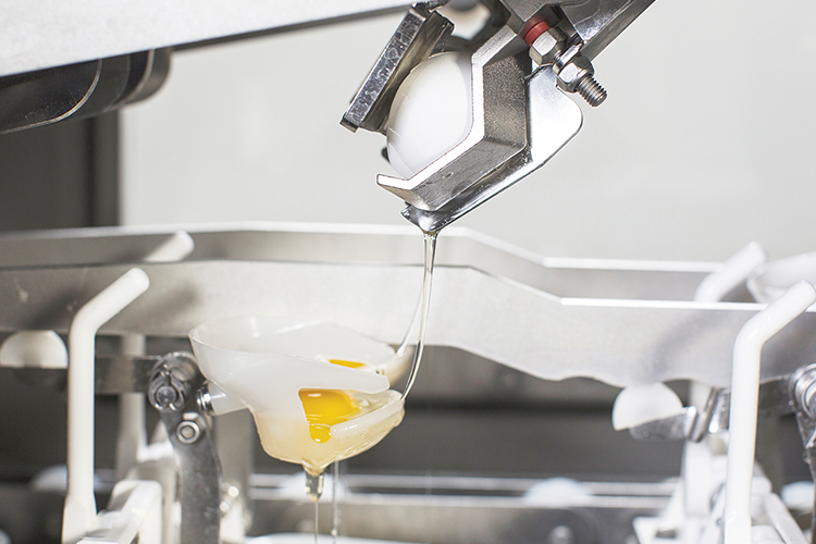 Close-up of SANOVO OptiBreaker’s egg breaking and separation system with yolk and albumen flowing into the separation cup.