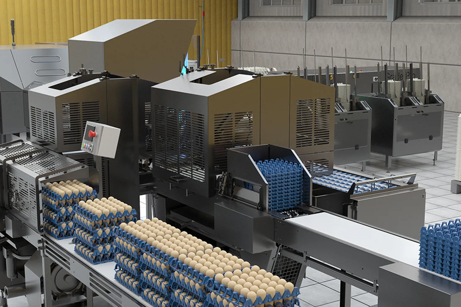 Fill Grading Machine Small Egg Grading Machine | Affordable & Efficient Egg Sorting for ...