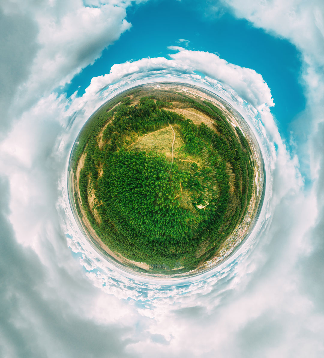 Symbolic image of sustainability and the planet represented as a tiny green world