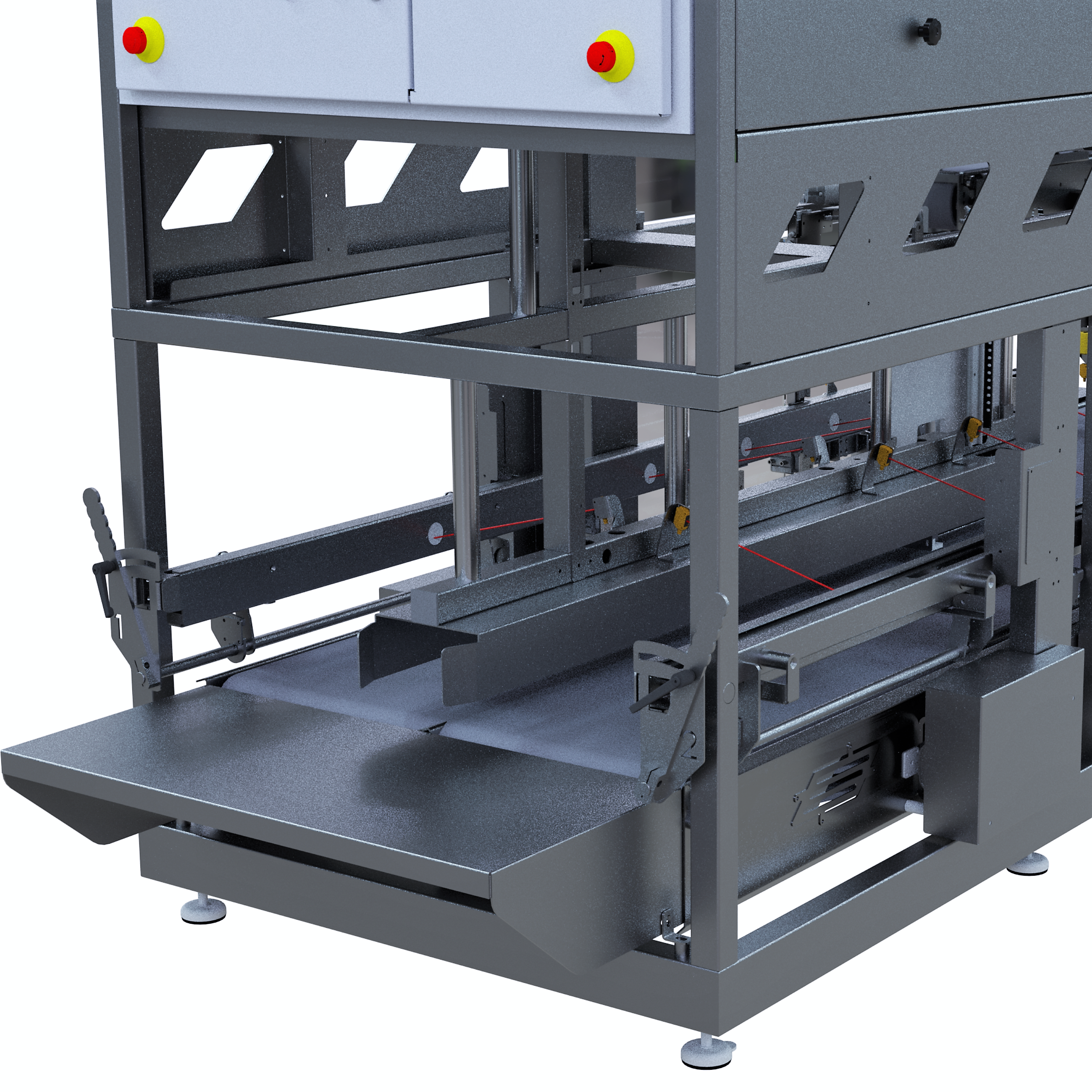 Empty case infeed area showing the conveyor system guiding empty cases into a SANOVO egg case packer.