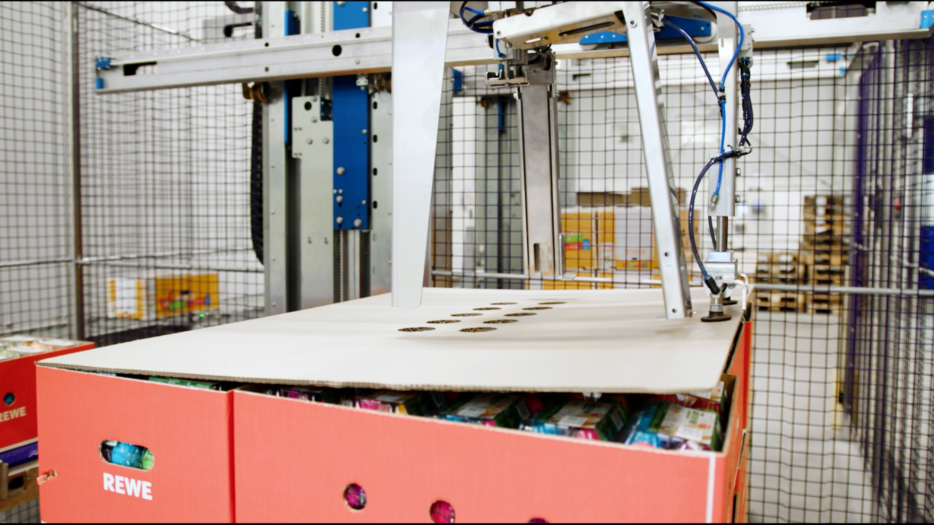 SANOVO Case Palletizer 300 placing interlayer sheet on cartons during automated palletizing in egg production.