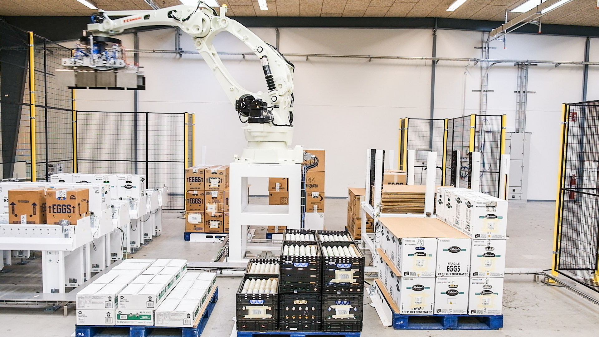 SANOVO automated case palletizer stacking cartons in a clean, spacious production hall with automated pallet lanes.