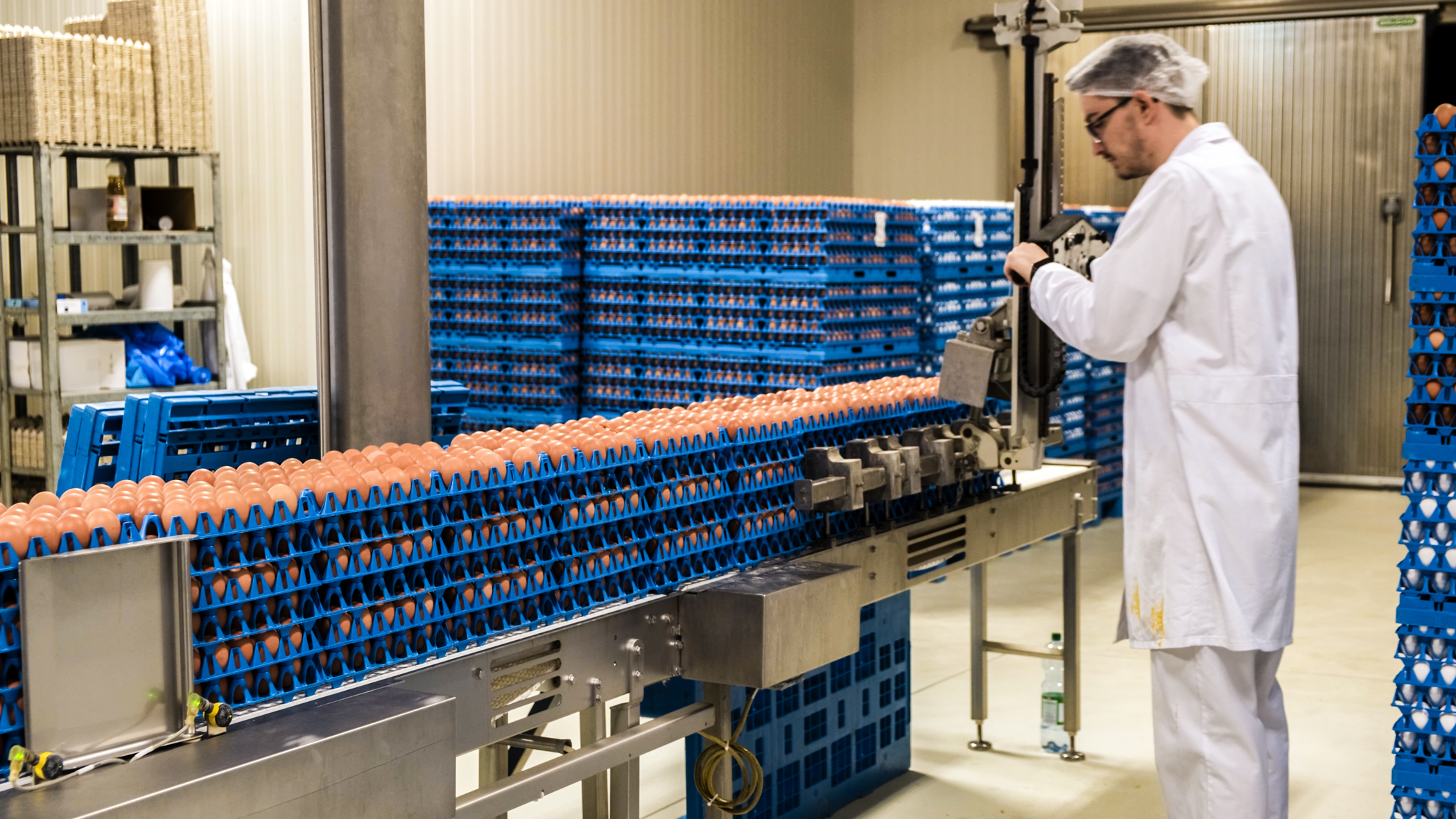 Operator using the SANOVO Power Lift to move stacked egg trays.