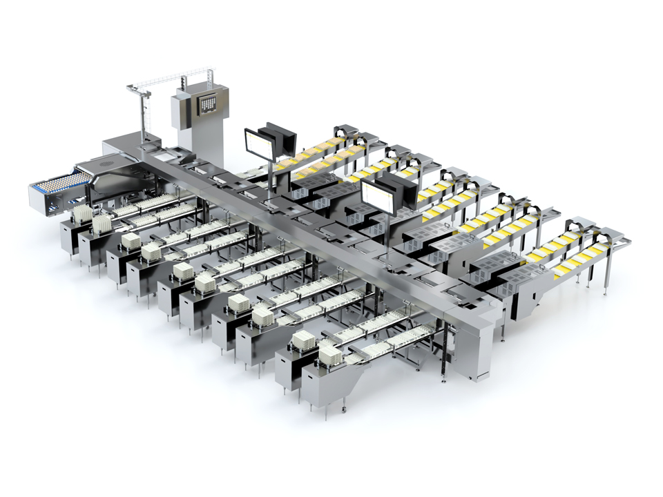 Alpha 125 egg grading machine with compact design and packing lanes by SANOVO TECHNOLOGY GROUP.