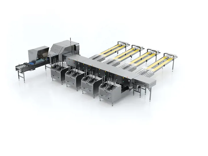 SANOVO GraderPro 110 egg grader machine with automated grading and packing lanes.