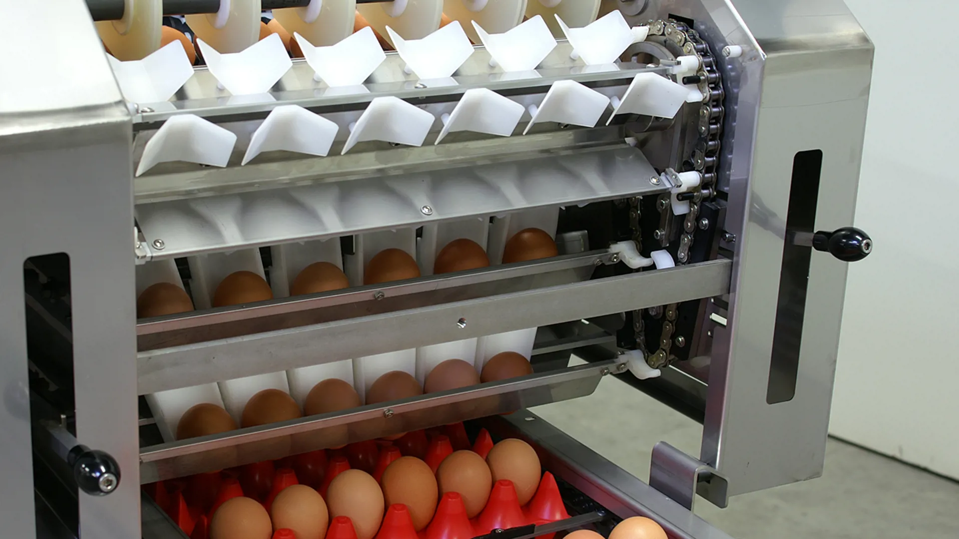 Perfectly packed eggs on SANOVO Farmpacker 100.