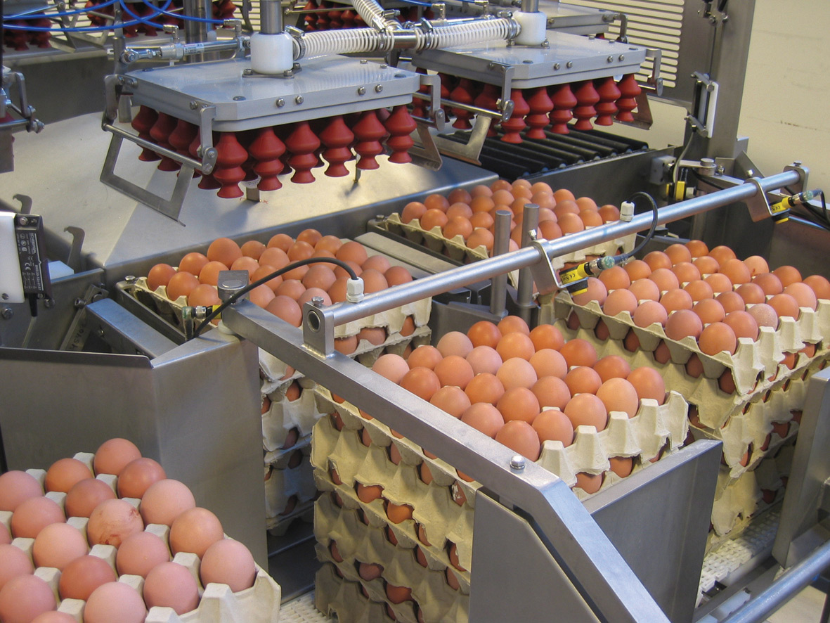 Rotary egg loader with servo-controlled suction heads on the OptiLoader Plus 12C egg loader by SANOVO TECHNOLOGY GROUP.